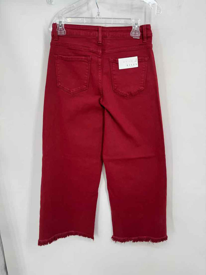Size 26 RISEN Burgundy Pants