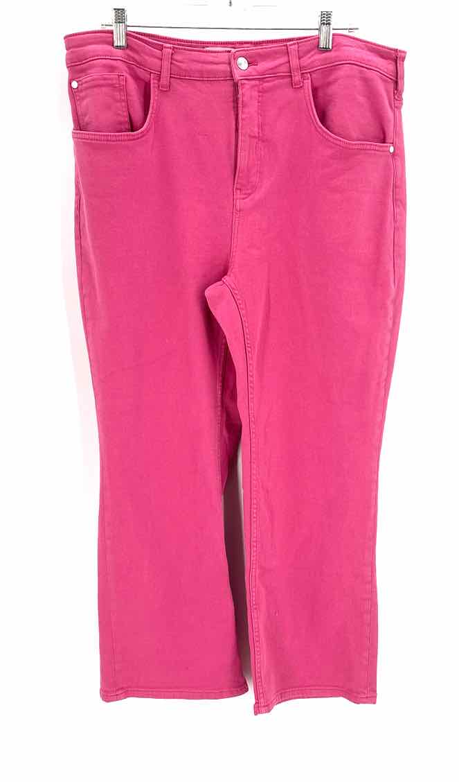 Size 34 Pilcro & the Letterpress Pink Pants
