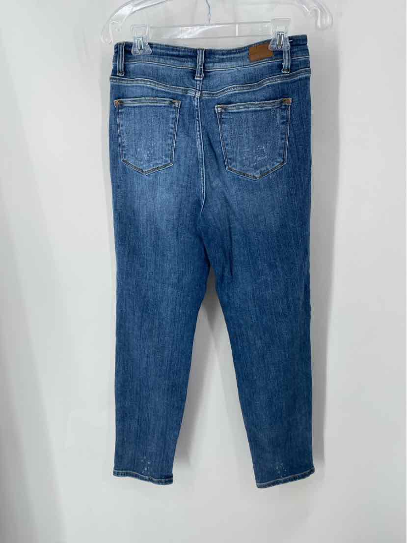 Size 29 JUDY BLUE Denim Pants