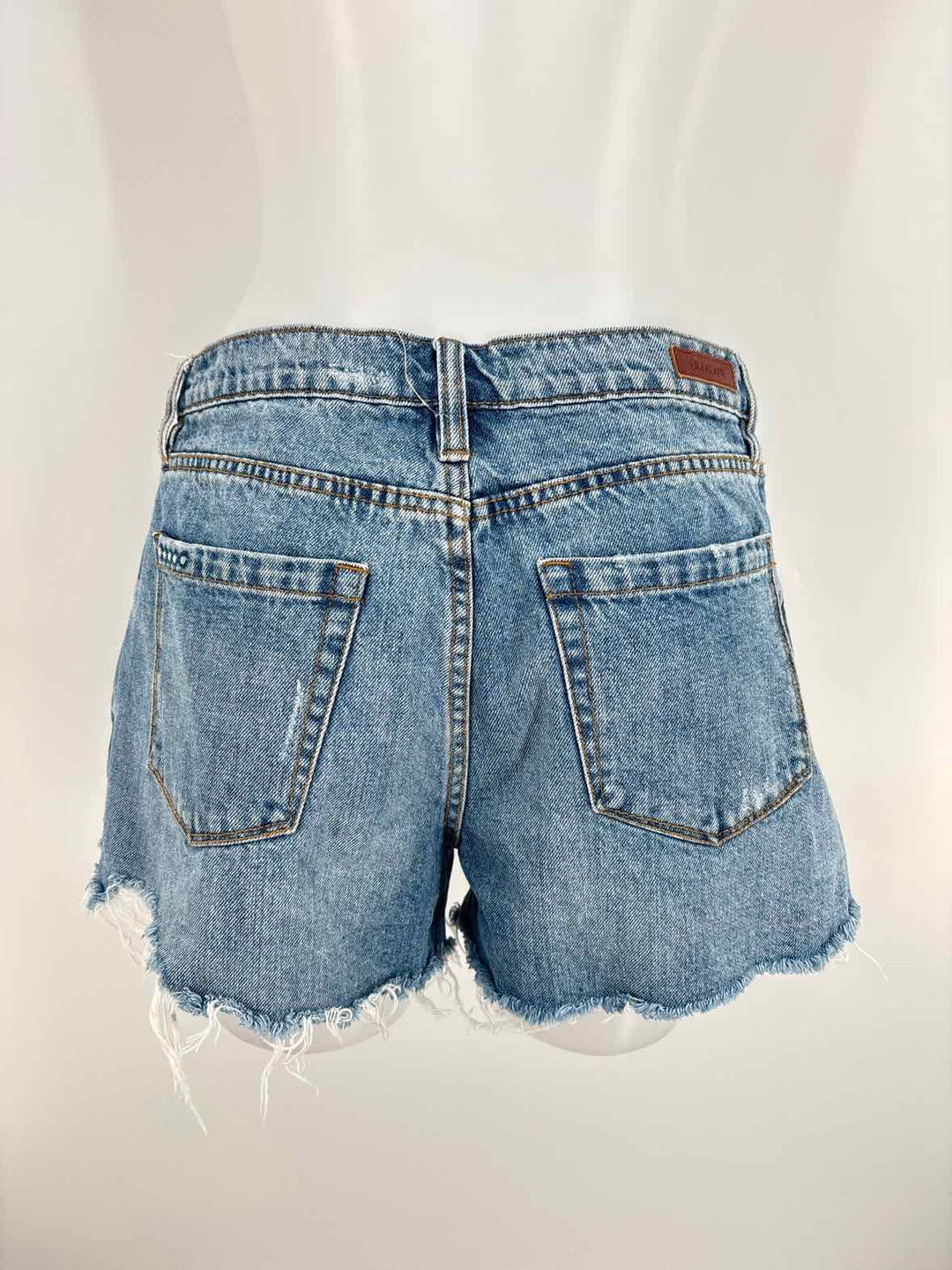 Size 29 BLANK NYC Denim Shorts