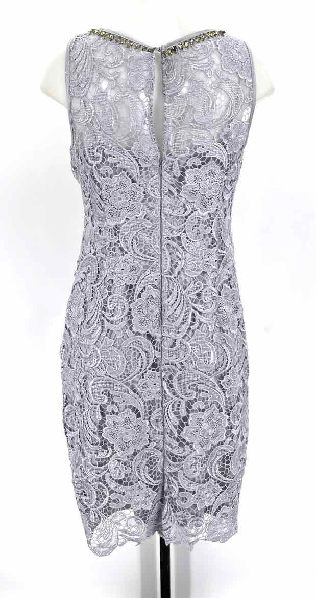 Size 10 Adrianna Papell Lavender Lace Dress