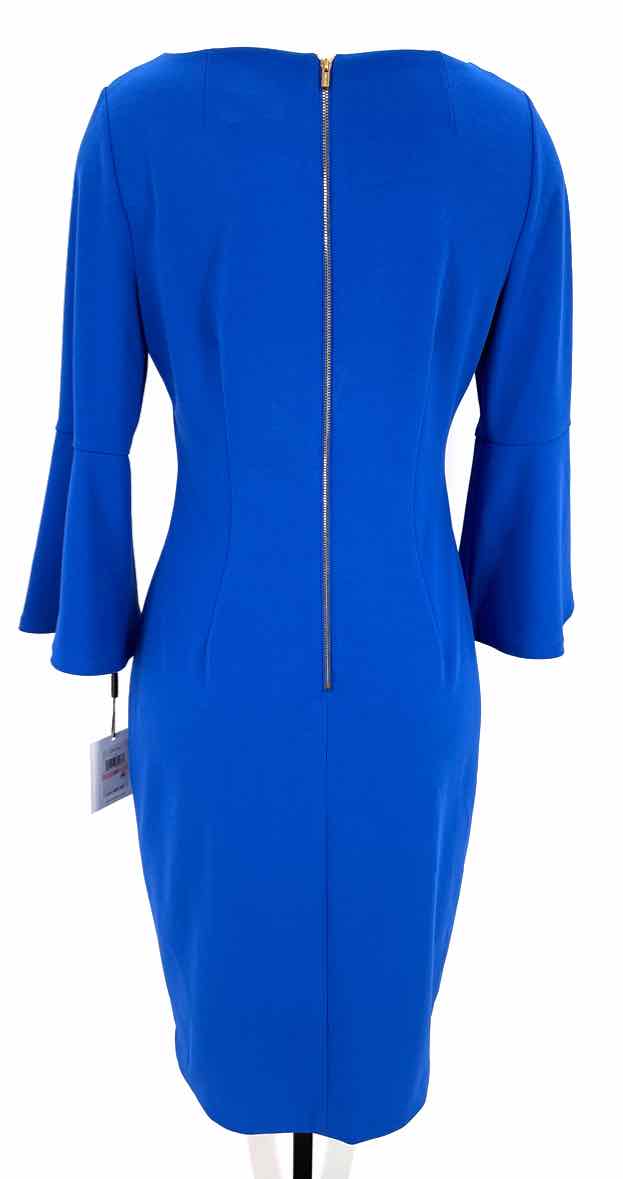 Size 10 Calvin Klein Blue Dress