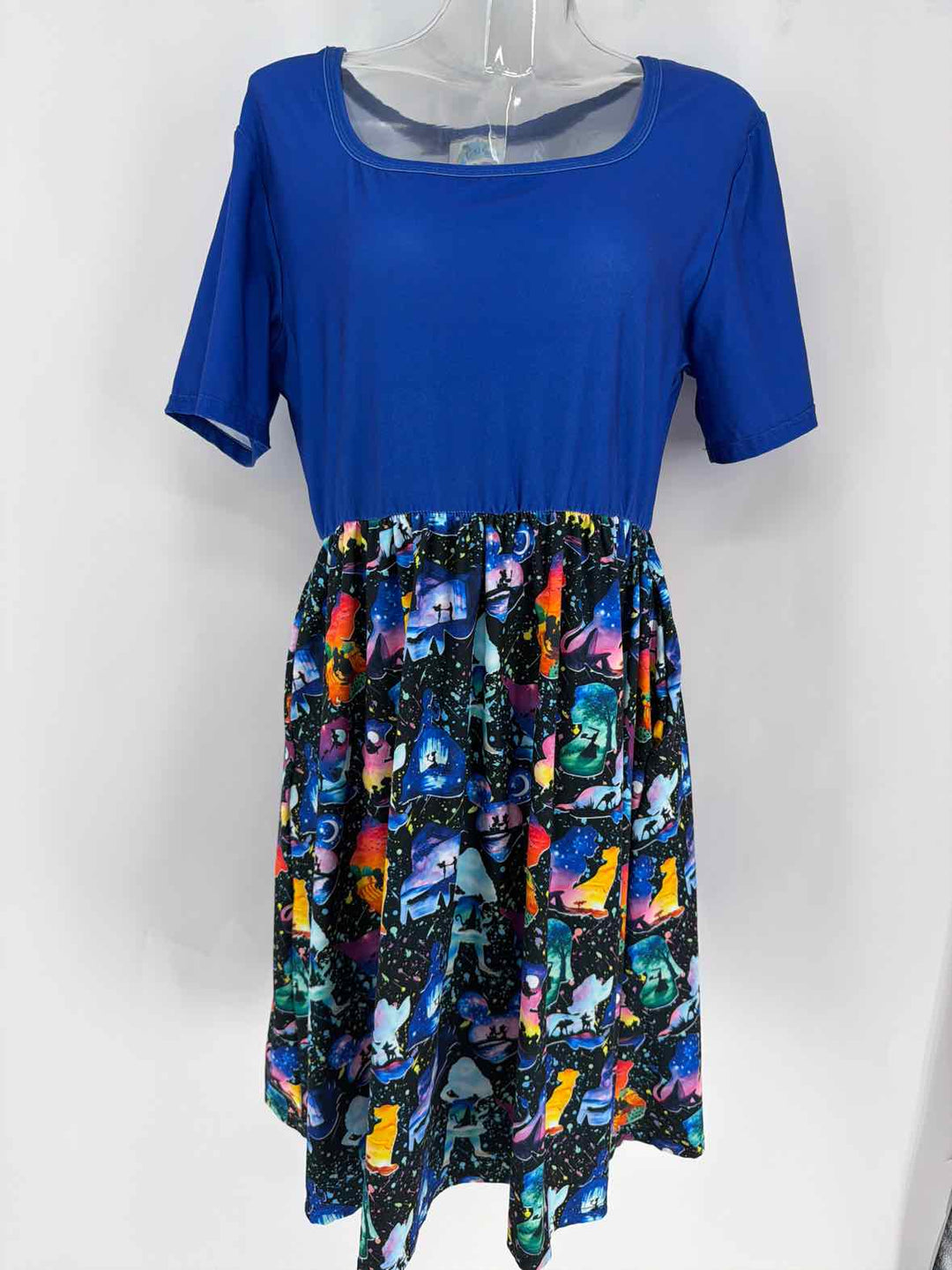 Size XL Multi-Color Dress