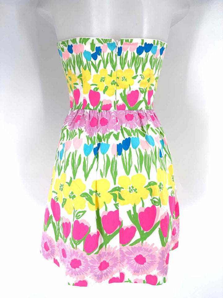Size 2 Lilly Pulitzer Multi-Color Dress
