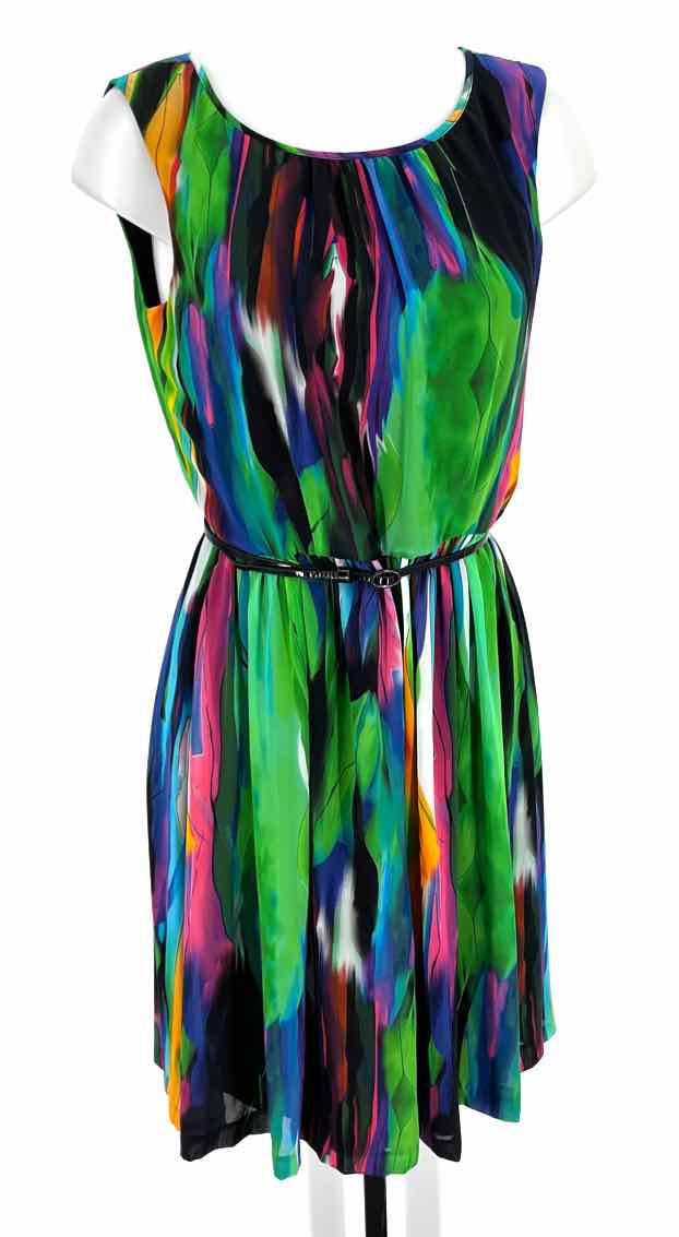 Size 6 ELLEN TRACY Multi-Color Dress