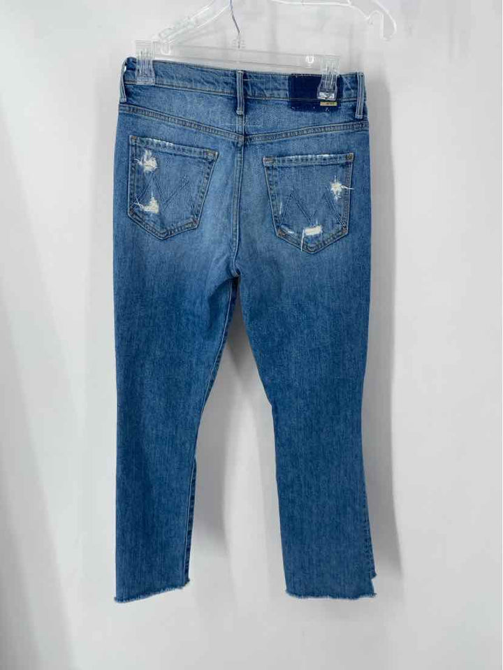 Size 27 Moth Denim Pants