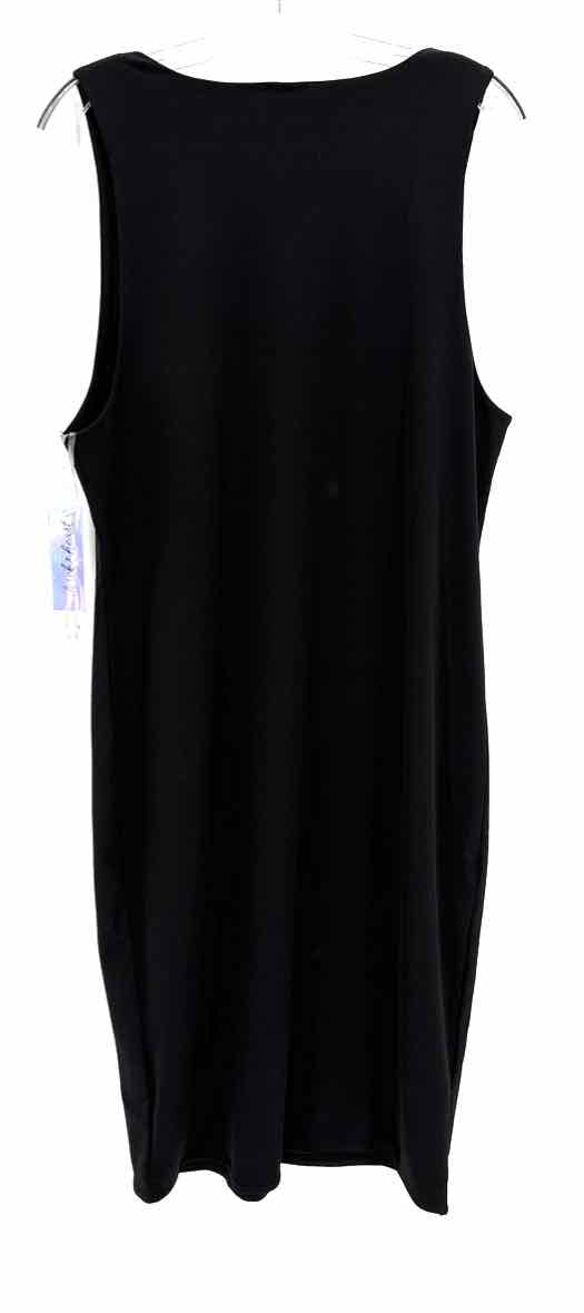 Size 2X Black Dress