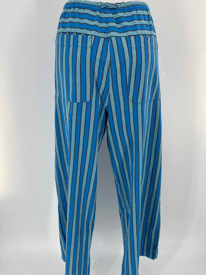 Size L FREE PEOPLE Blue Pants