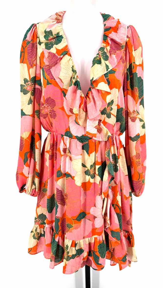 Size 12 TAYLOR PINK PRINT Dress