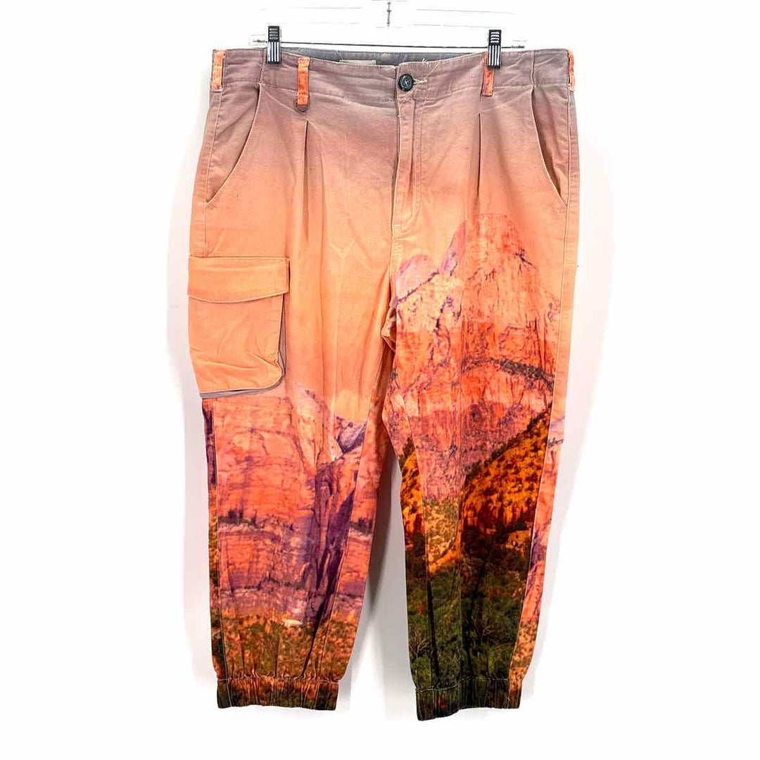Size 31 Pilcro & the Letterpress Orange Pants