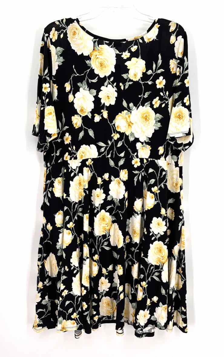 Size 22/24 Torrid Black Dress