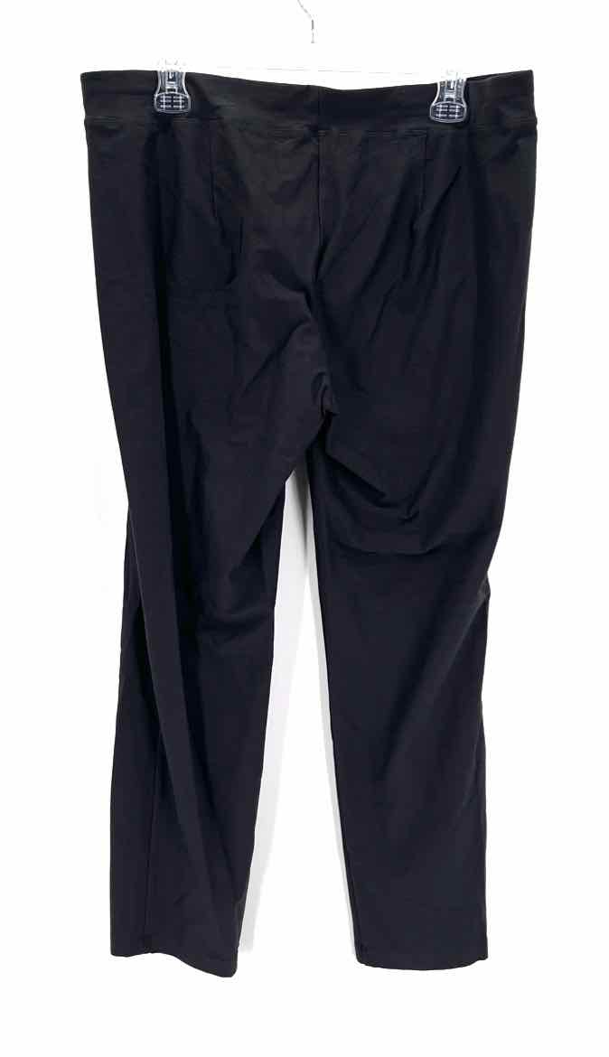 Size L Eileen Fisher Gray Pants