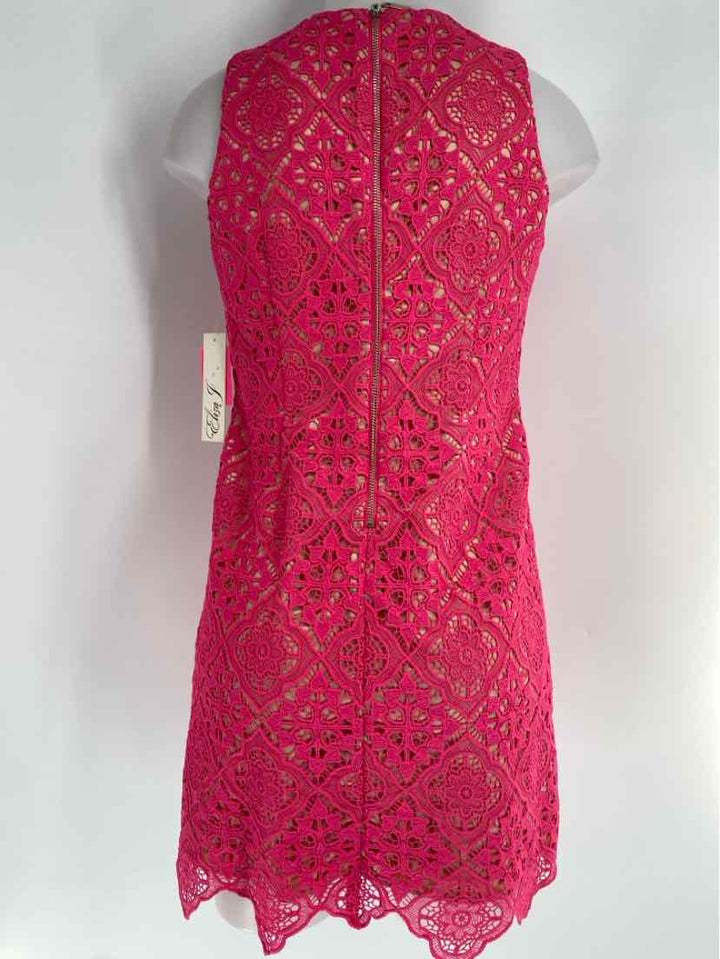 Size 4P ELIZA J Pink Dress