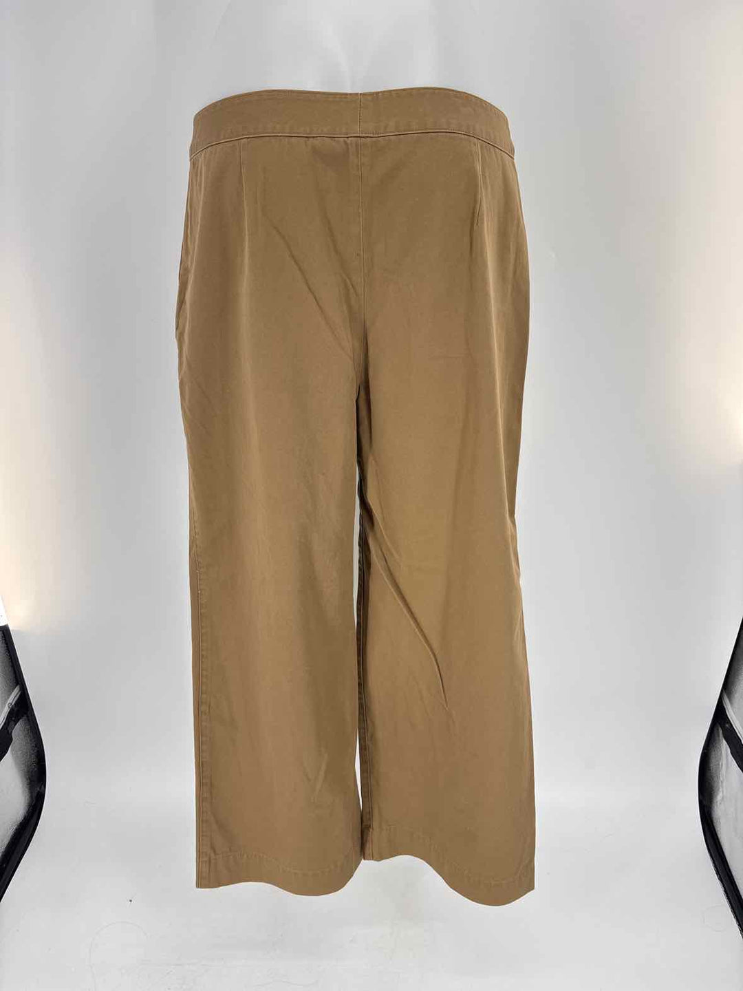 Size 10 THEORY Beige Pants