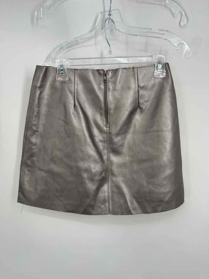 Size M Bailey Silver Skirt