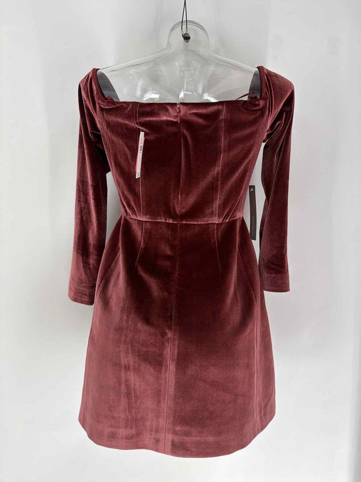 Size 2 HUTCH Burgundy Velour Dress