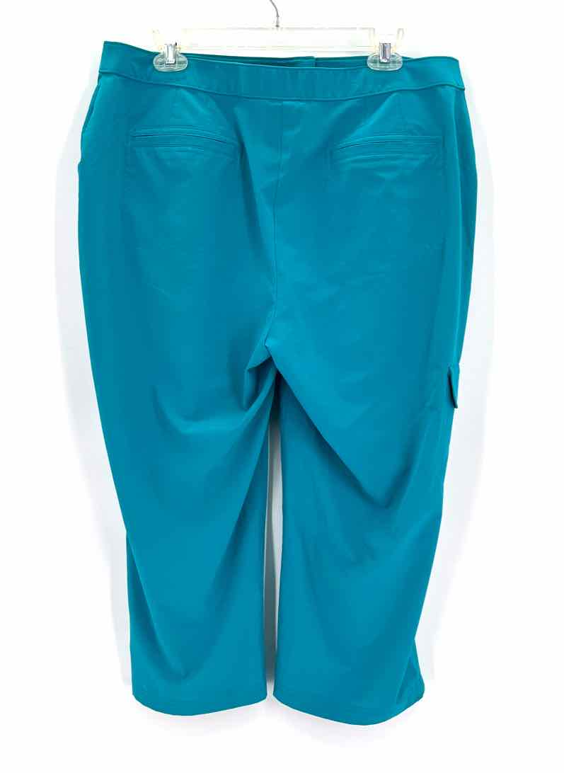 Size L Chico's Teal Capri