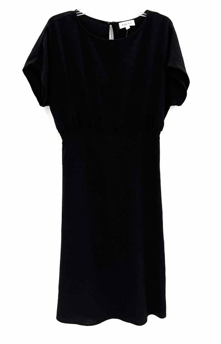 Size L Black Dress