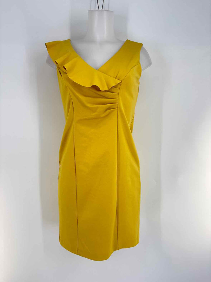 Size 4 ADRIENNE VITTADINI Yellow Dress