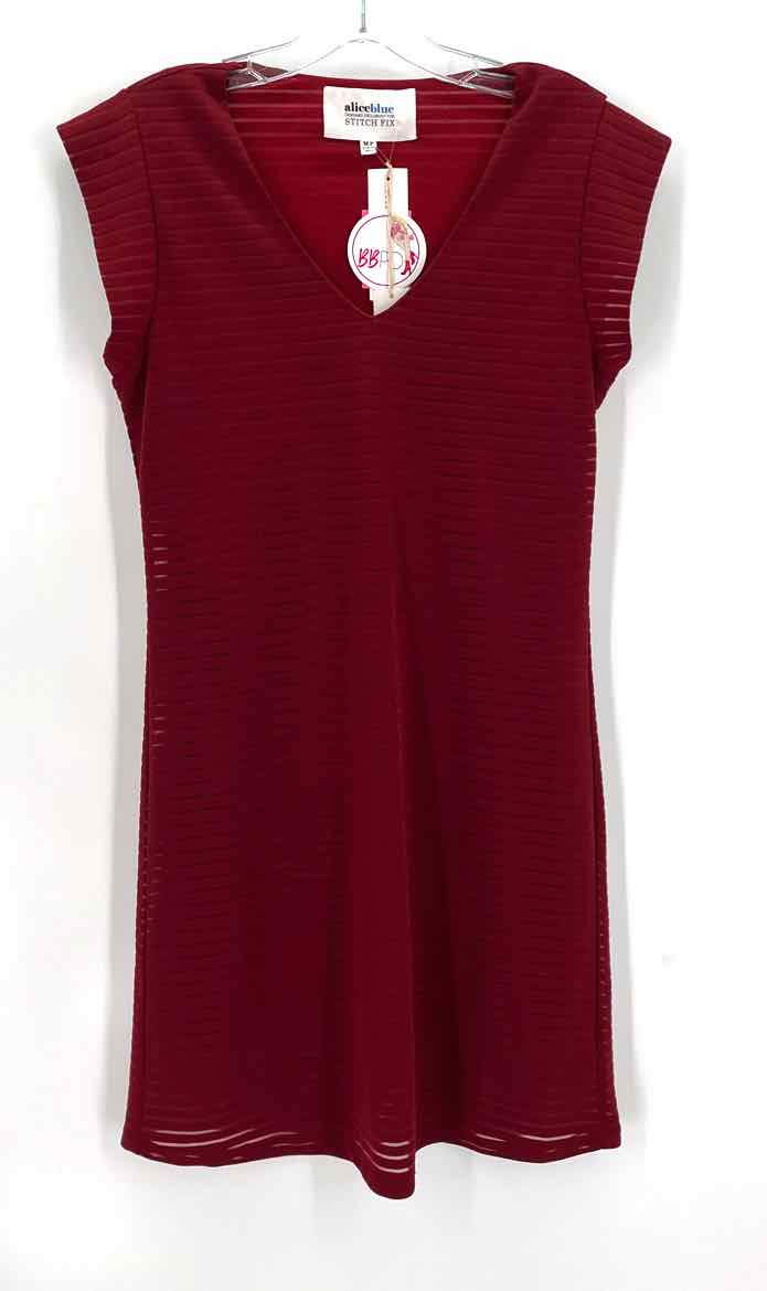 Size M Burgundy Dress