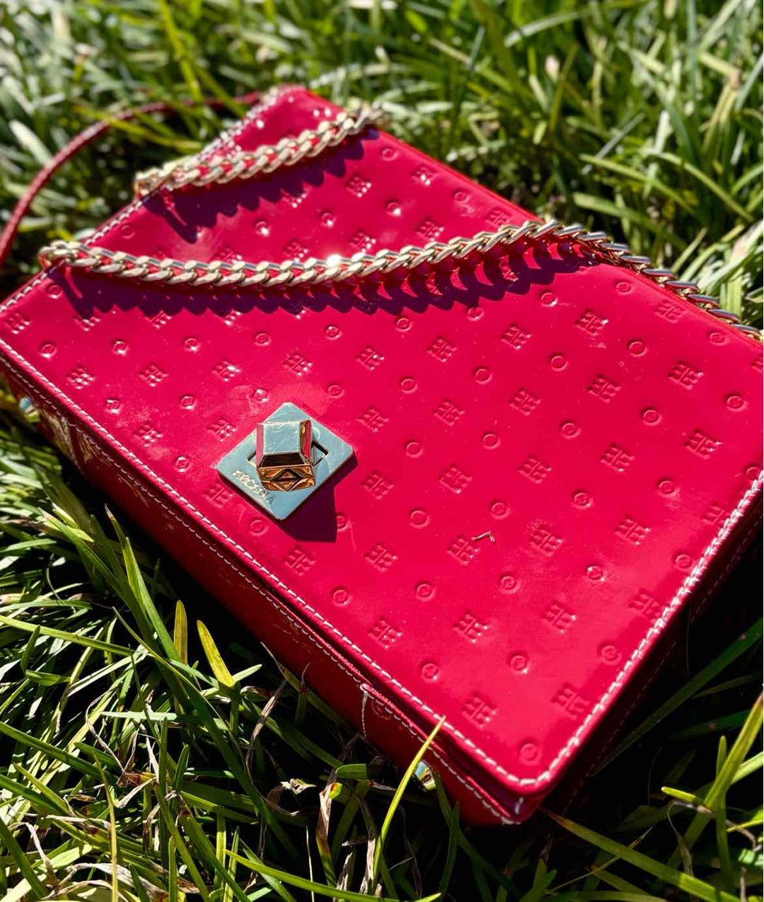 ARCADIA Purse