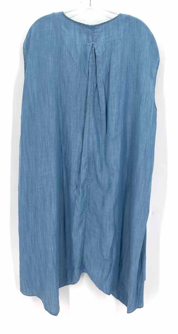 Size 2X RACHEL ROY Blue Chambray Dress