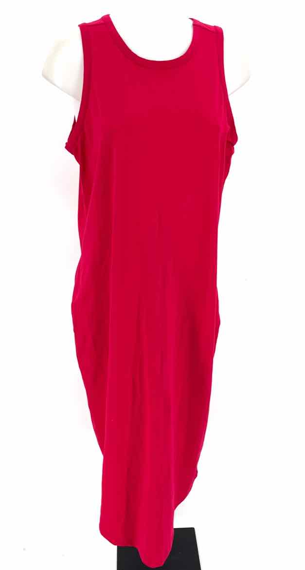 Size S Fuschia Dress