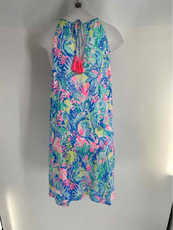 Size L Lilly Pulitzer Blue Dress