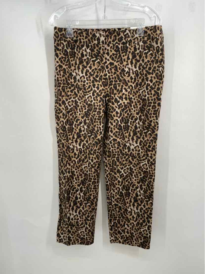 Size 8 LOFT Brown Pants