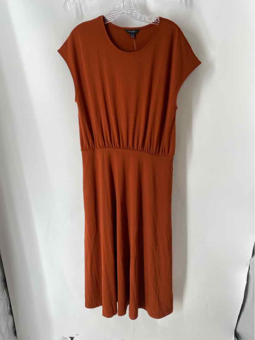 Size L Banana Republic Brown Dress