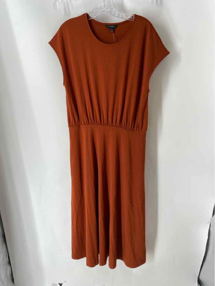 Size L Banana Republic Brown Dress