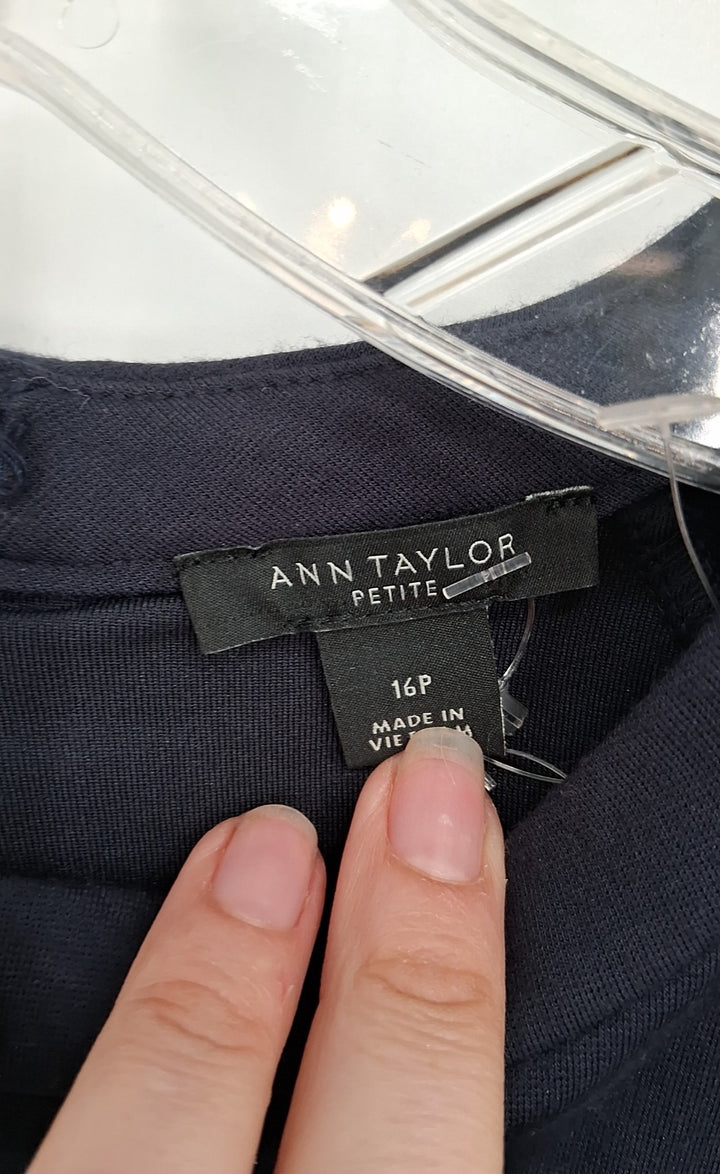 Size 16 Ann Taylor Navy Dress