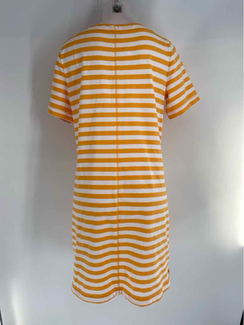 Size M Talbots Orange Dress