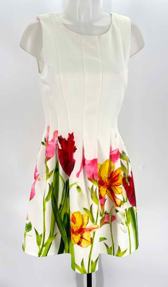 Size S Multi-Color Dress