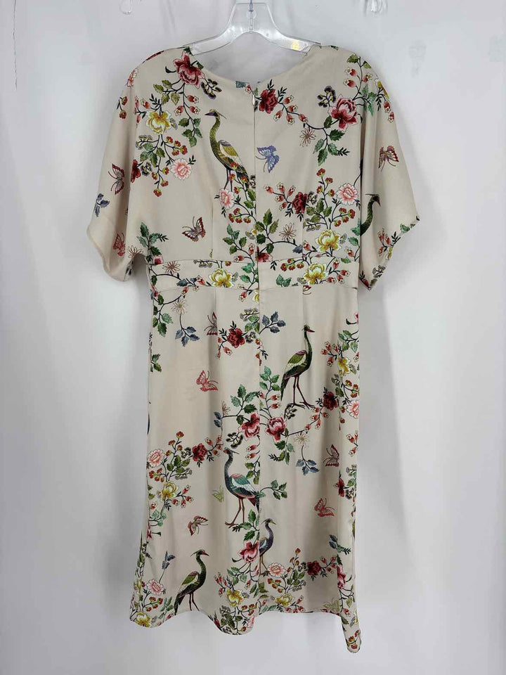 Size 12 Multi-Color Dress
