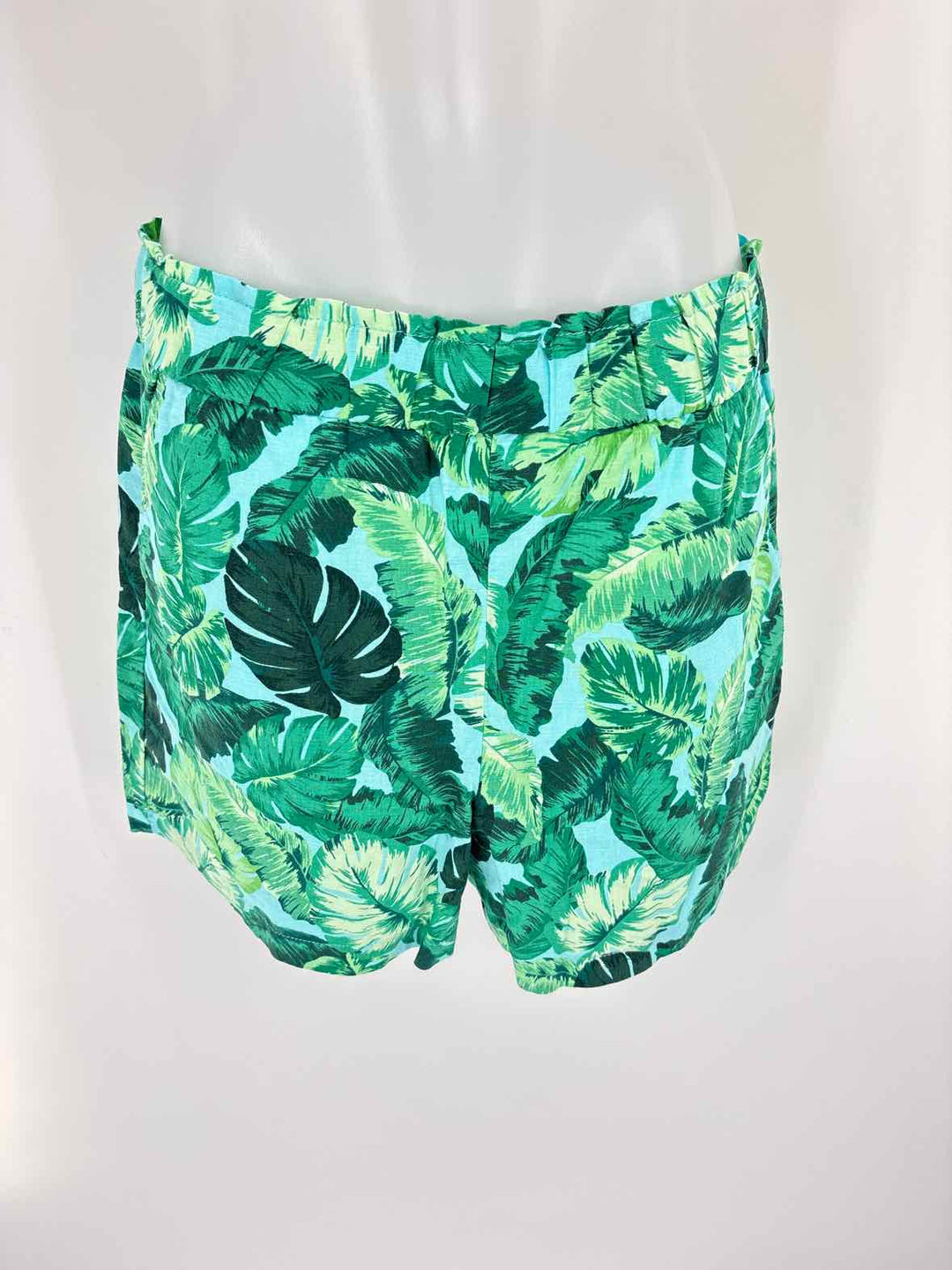 Size M Talbots Green Shorts