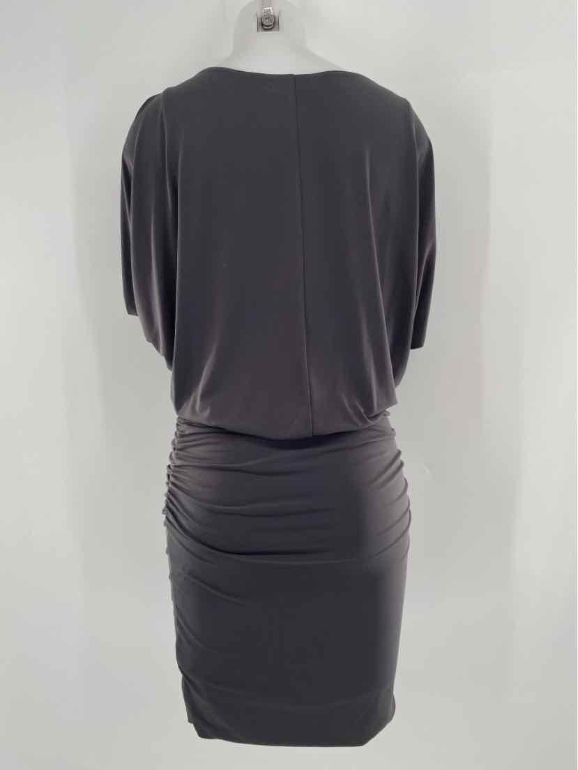 Size M VELVET Gray Dress