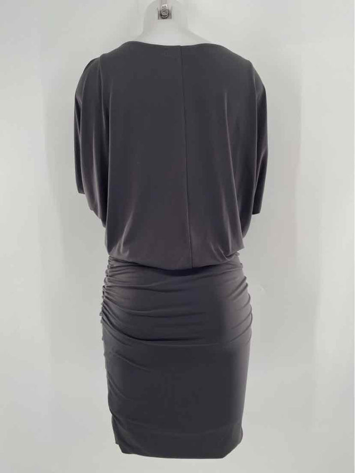 Size M VELVET Gray Dress