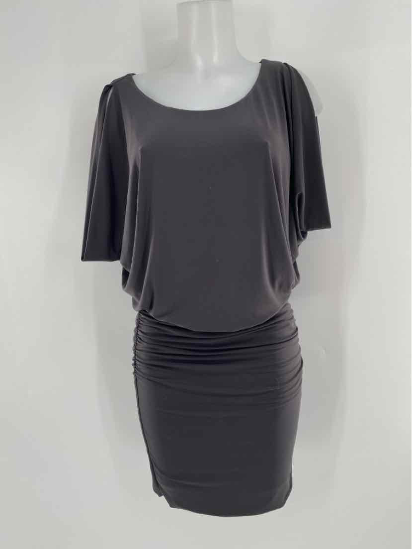 Size M VELVET Gray Dress