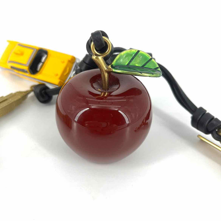 Coach Key Chain