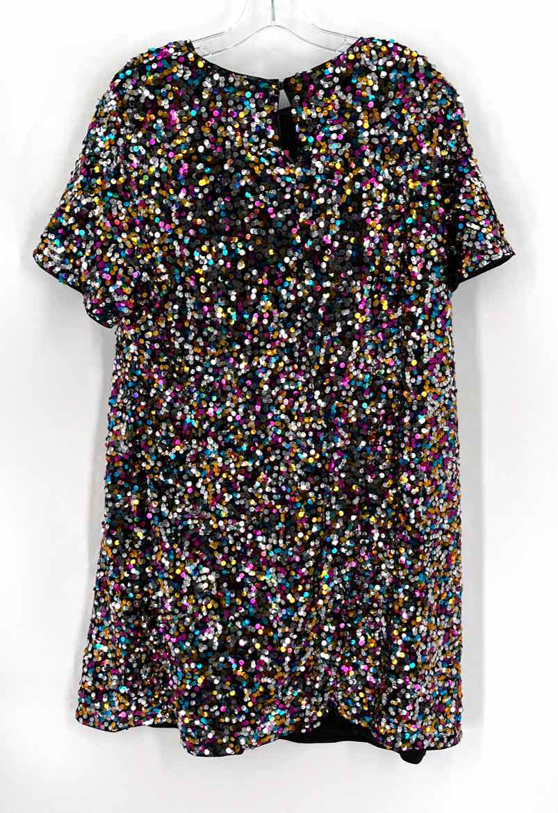 Size 2X Multi-Color Dress