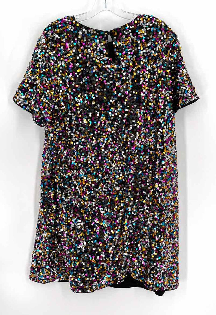 Size 2X Multi-Color Dress