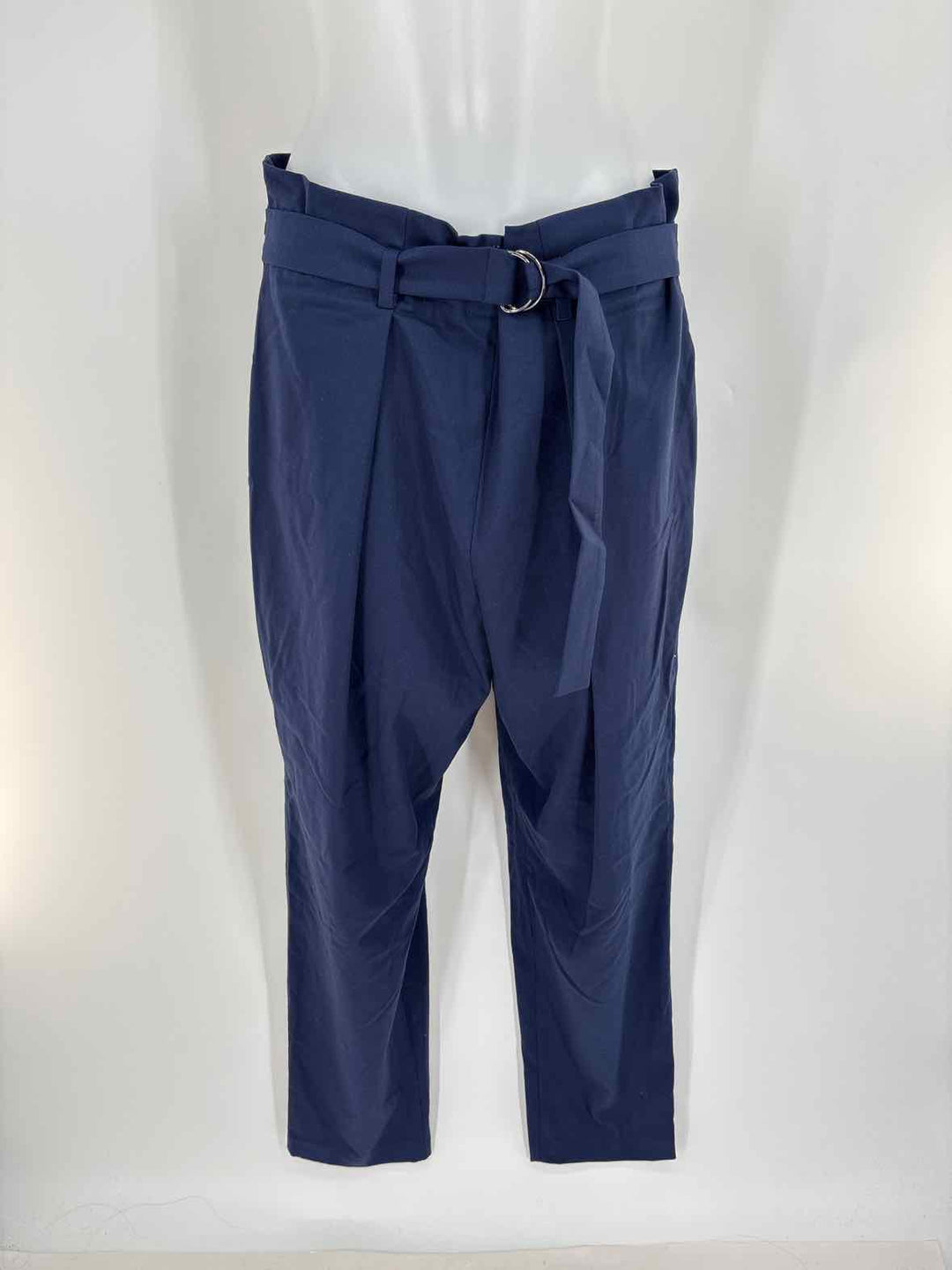 Size L BCBG Navy Pants
