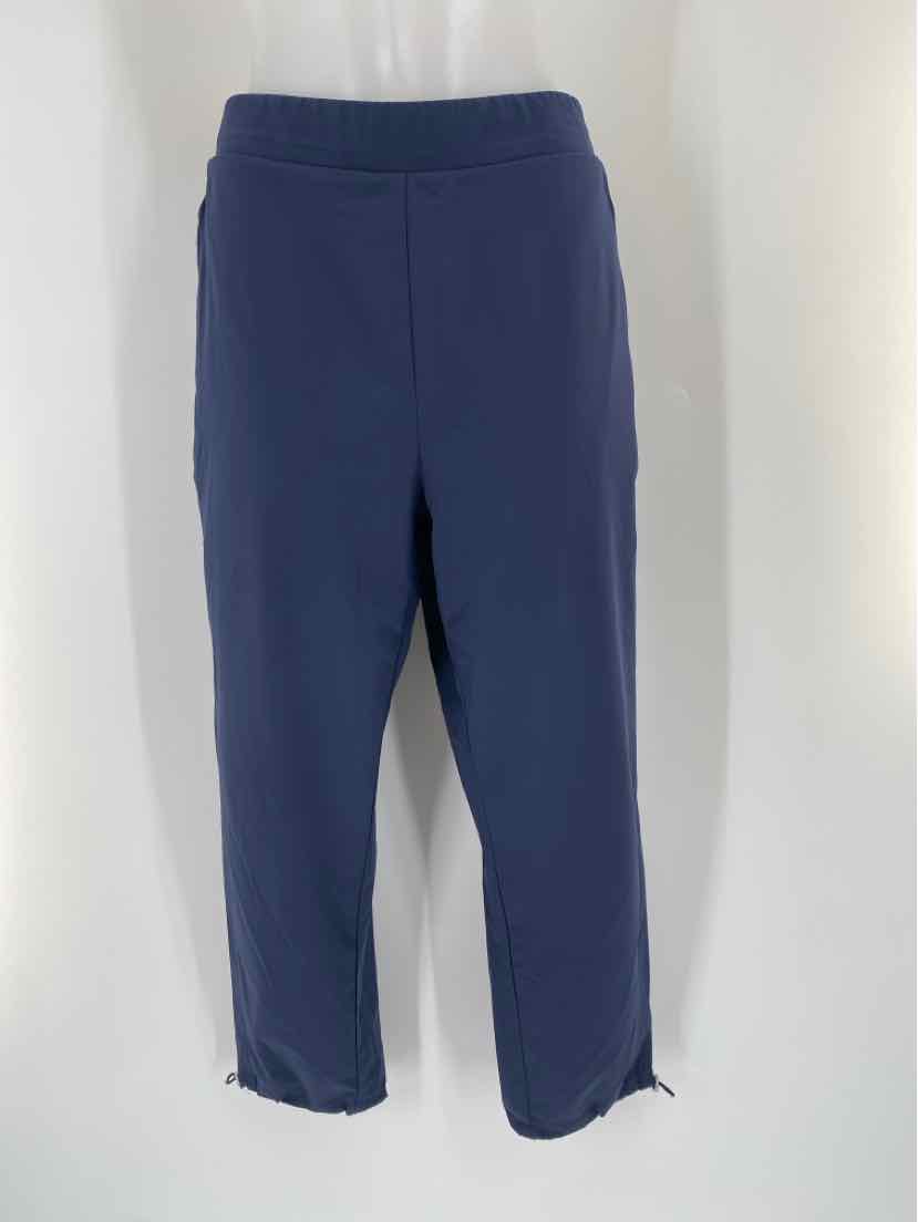 Size 10 Chico's Navy Pants