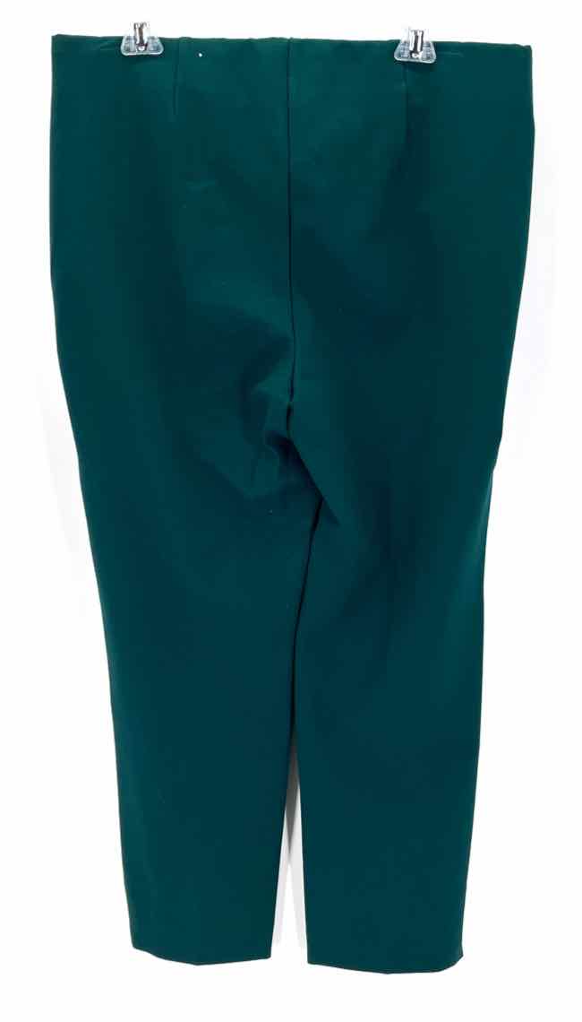 Size L Chico's Olive Pants