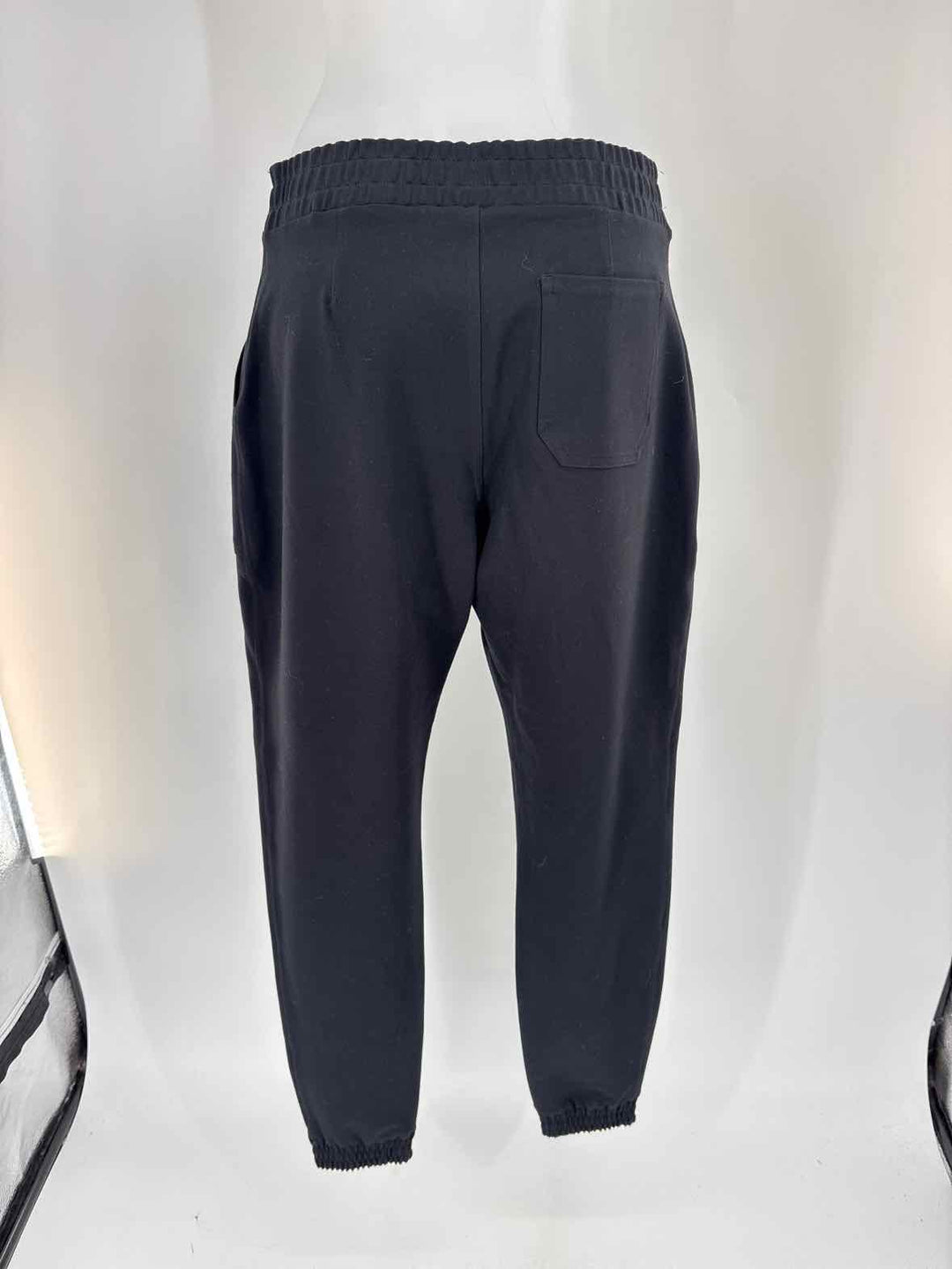 Size L SPANX Black Pants