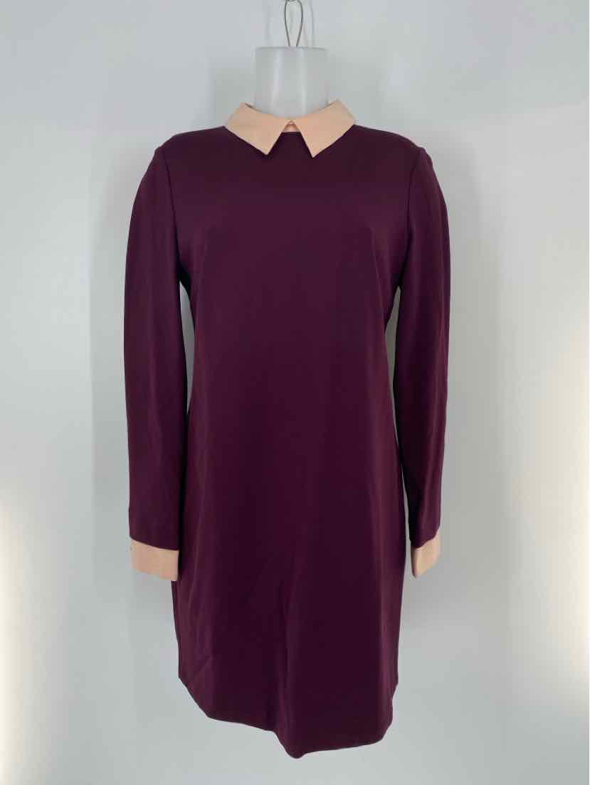 Size 8 CYNTHIA STEFFE Wine Dress