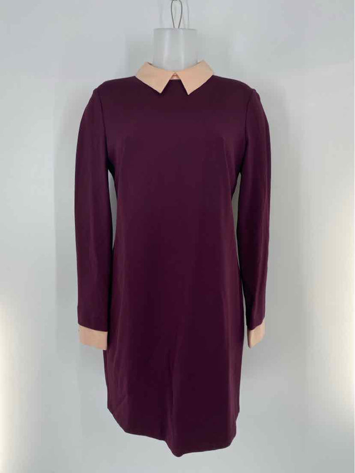 Size 8 CYNTHIA STEFFE Wine Dress