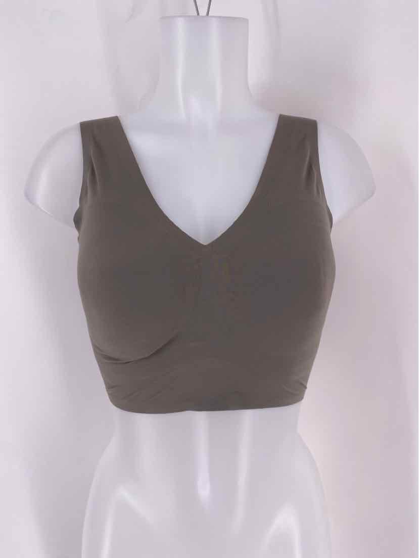 Size L Gray Bra