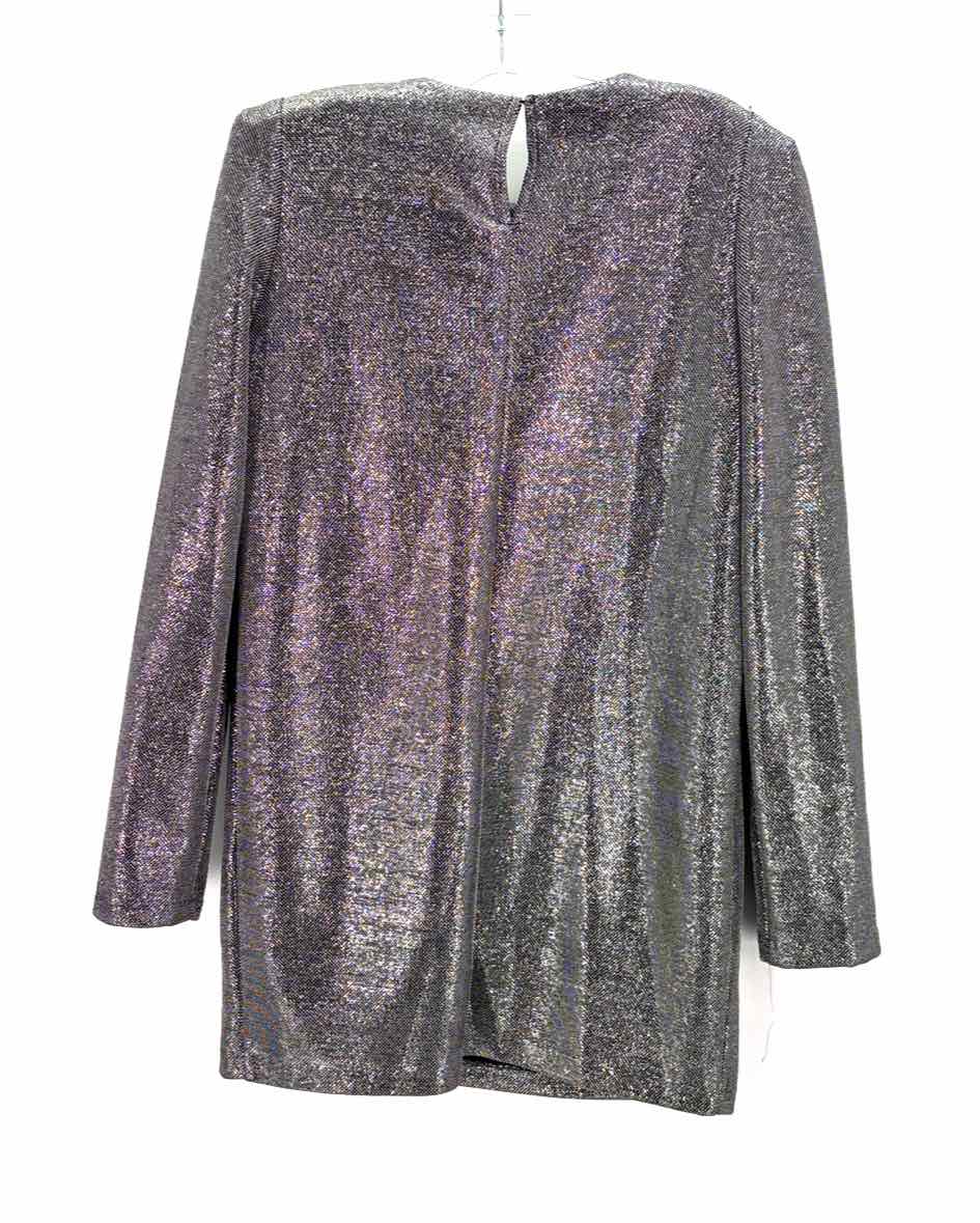 Size 10 H&M Silver Dress